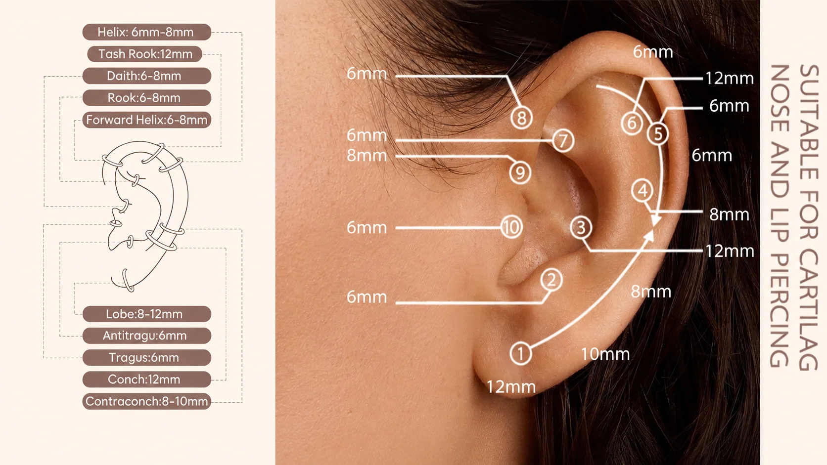 Ear piercing placement and size guide for cartilage, helix, tragus, conch, and lobe piercings using small hoop earrings